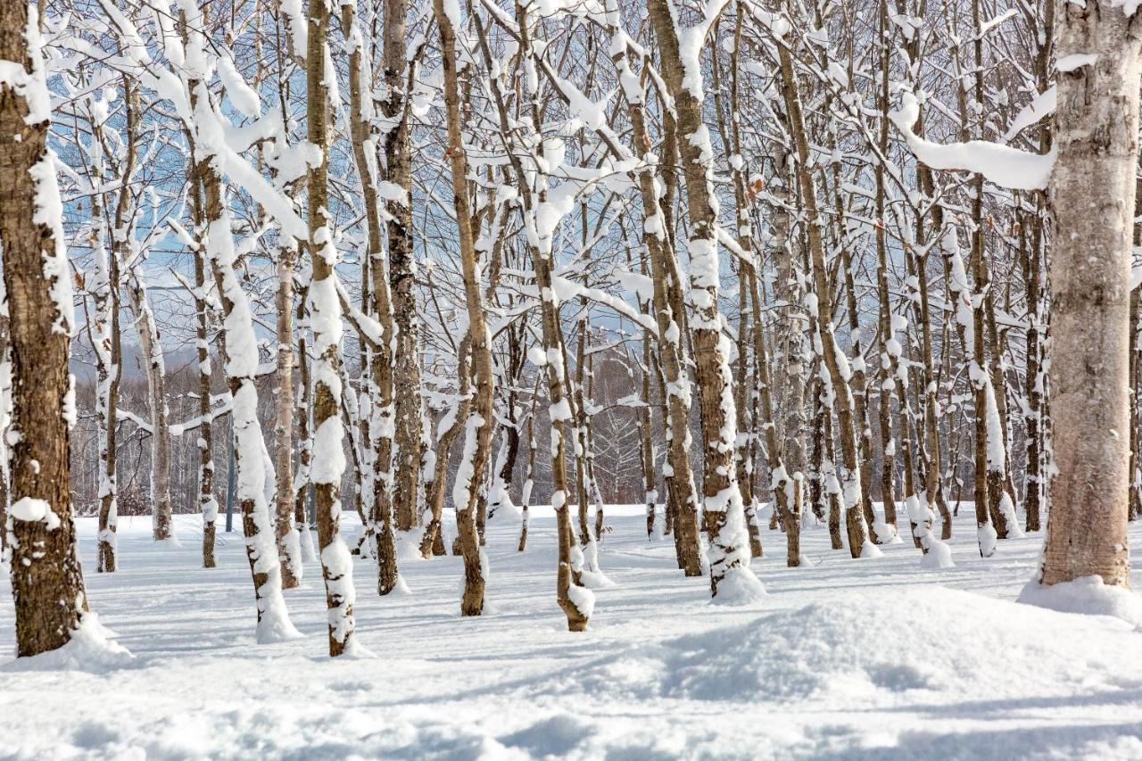 Andaru Collection Niseko Hotel Kutchan Bagian luar foto